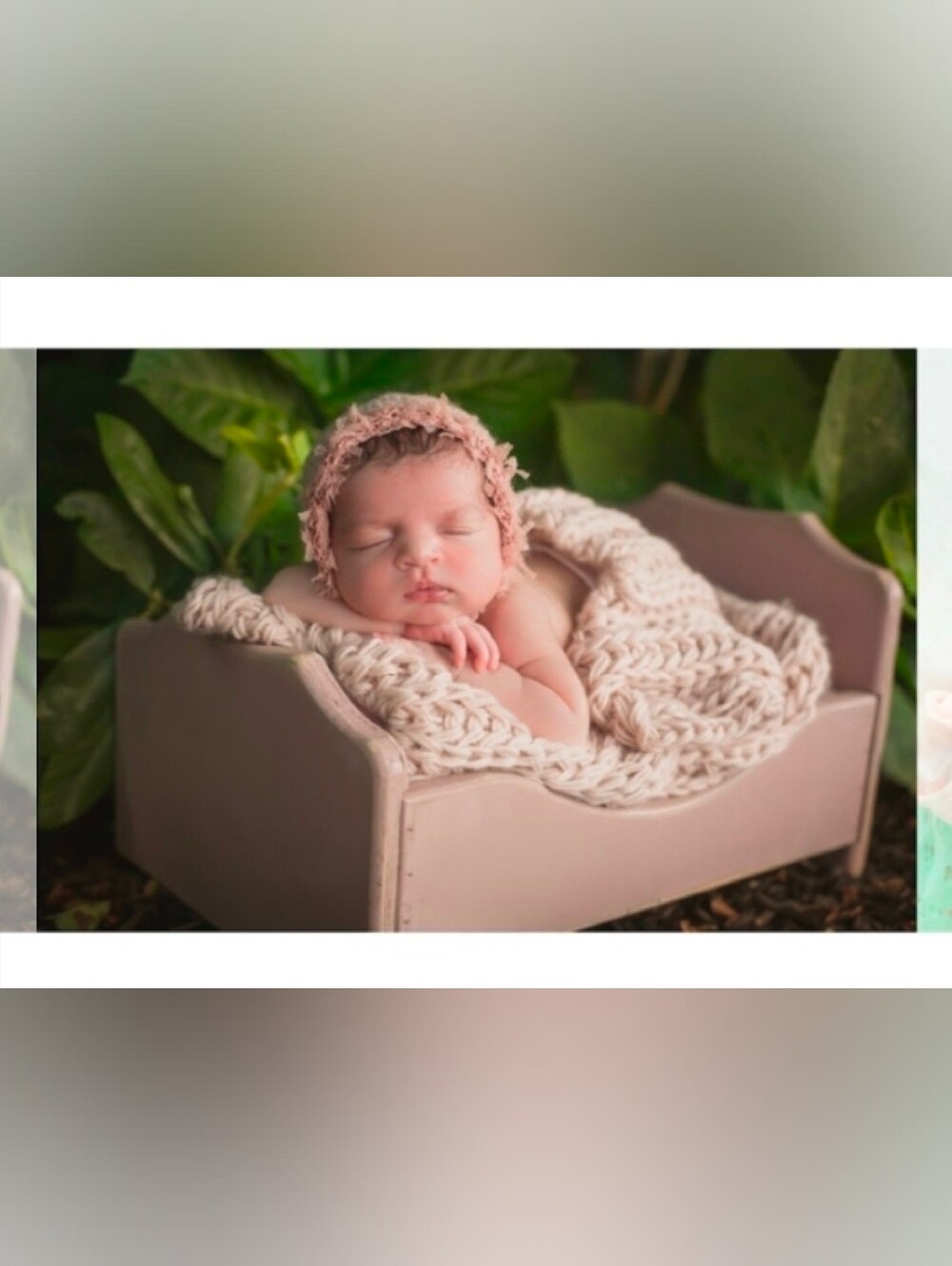Aurora Bed Dusty Rose in Solid Wood for Newborn Photoshoot